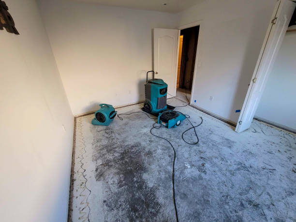 Best Basement water damage restoration  in Bel Air North, MD