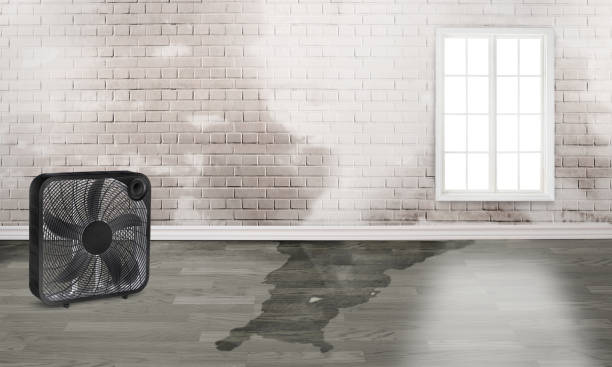  Bel Air North, MD Water damage restoration Pros