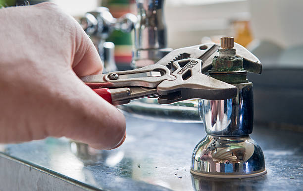 Best Mold removal after water damage  in Bel Air North, MD