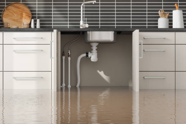 Water damage restoration insurance claims in Bel Air North, MD