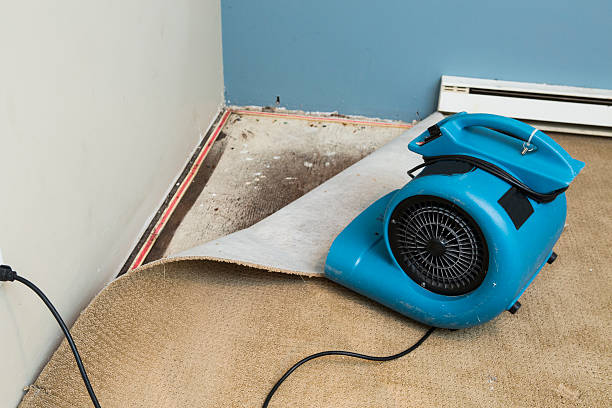 Best Sewage cleanup and water damage restoration  in Bel Air North, MD